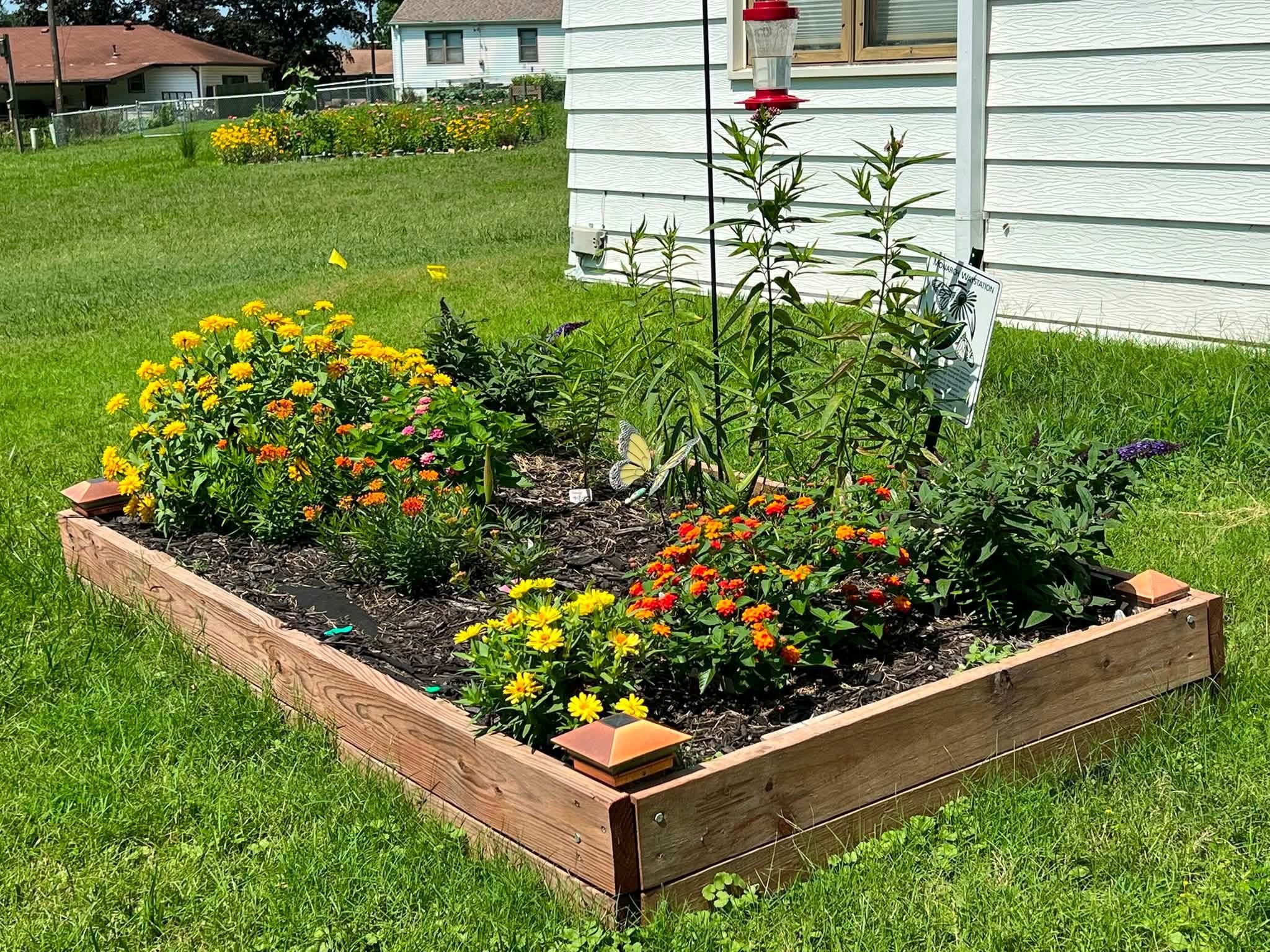 A garden bed with yellow, orange, and red flowers, bordered by wooden planks, next to a white house with siding.