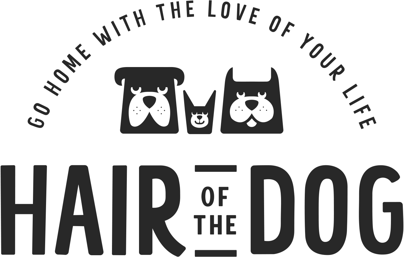 Two stylized bears and a smaller bear face above the text 'HAIR OF THE DOG' with a curved phrase around.