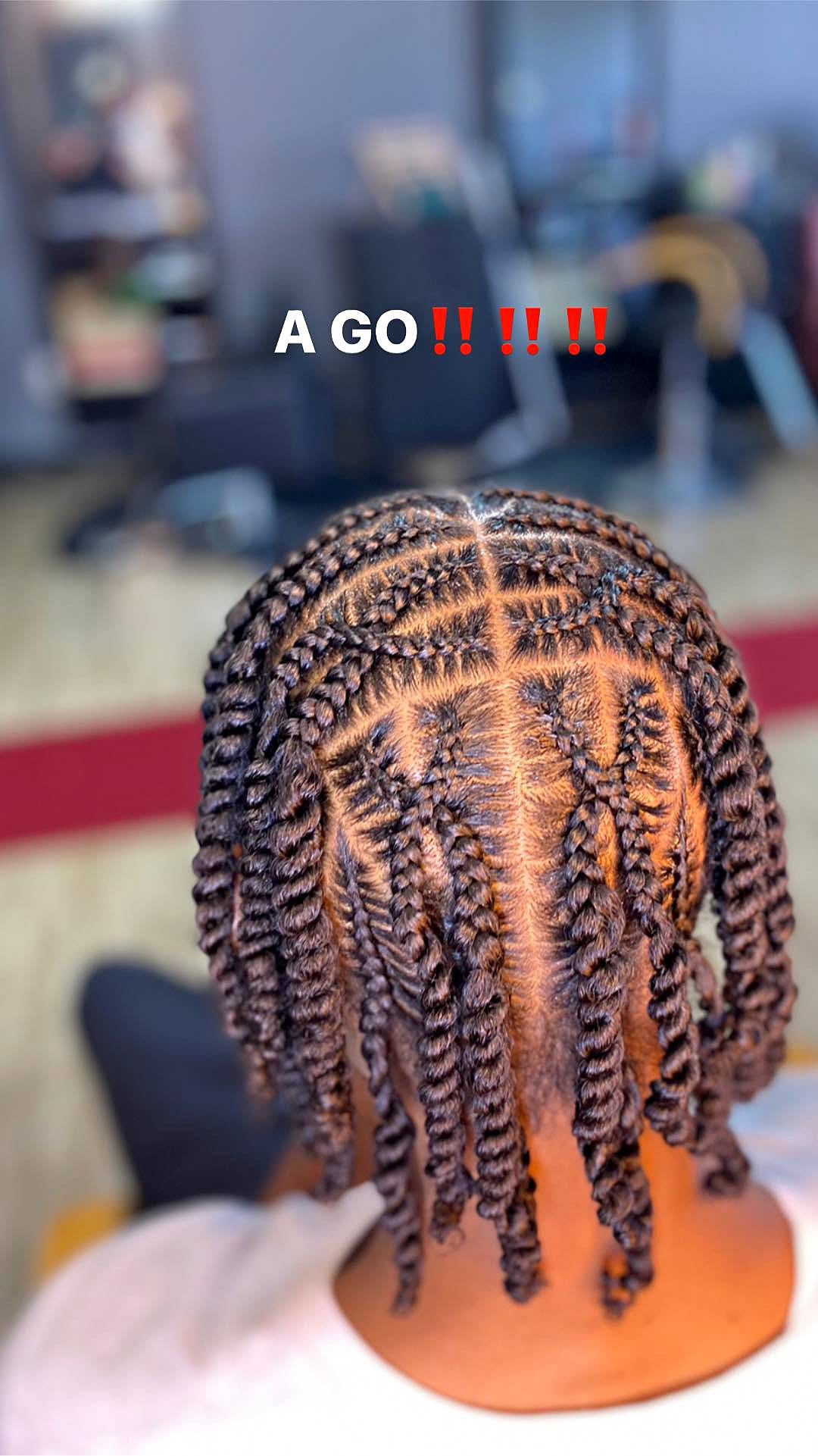 Back view of a person with braided hair styled in neat, thick twists, in a salon setting.