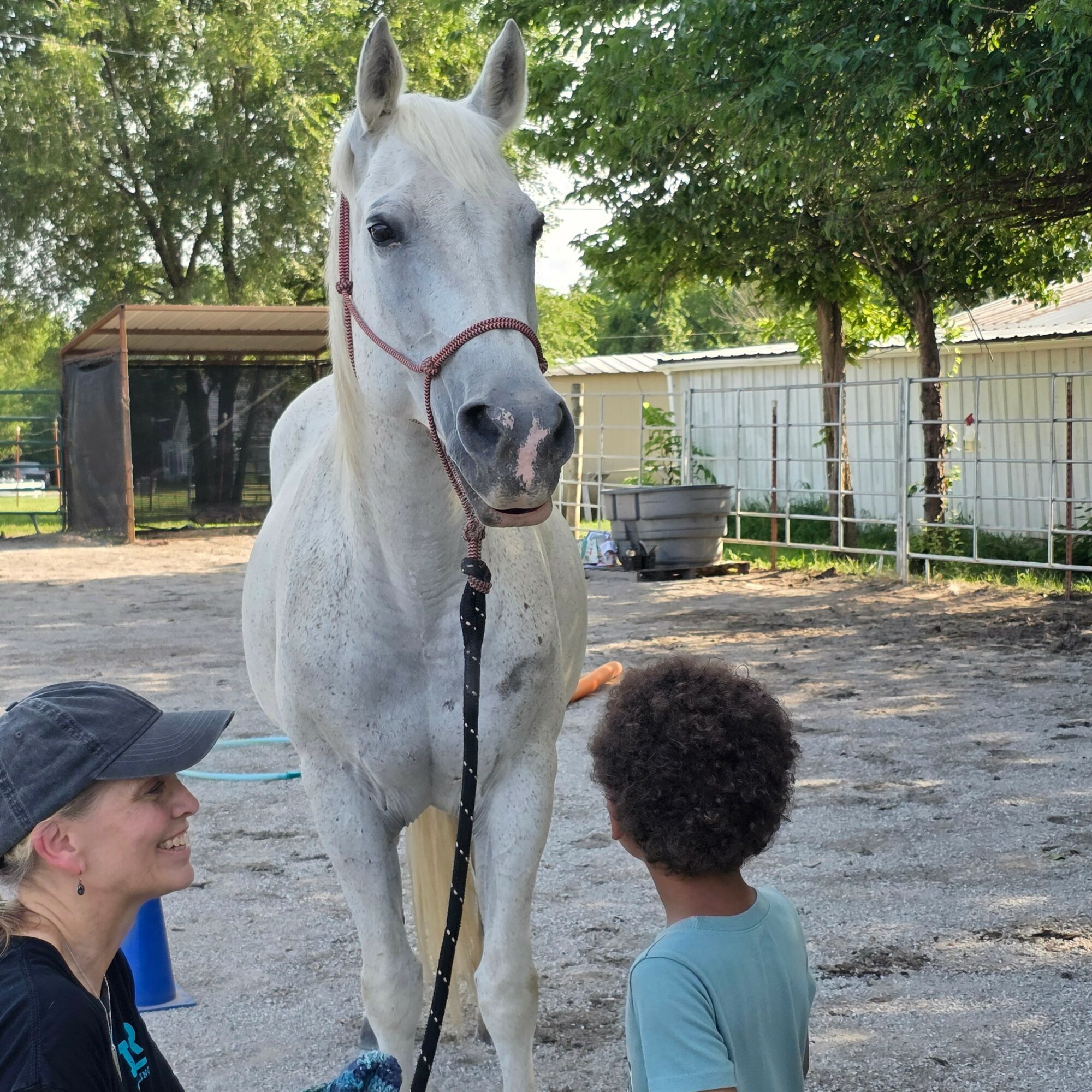 A white horse with a red halter stands outdoors, facing two children, one girl with a cap and one boy with curly hair.