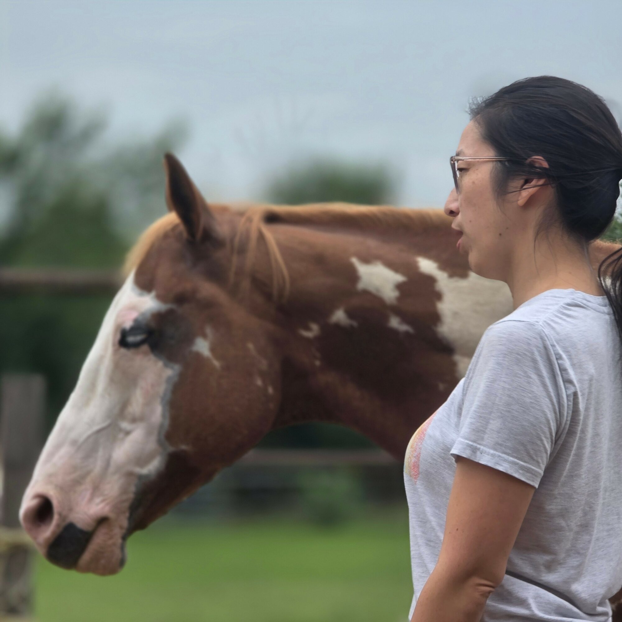 Woman with glasses and gray t-shirt standing next to a brown and white horse outdoors, with a blurred background.