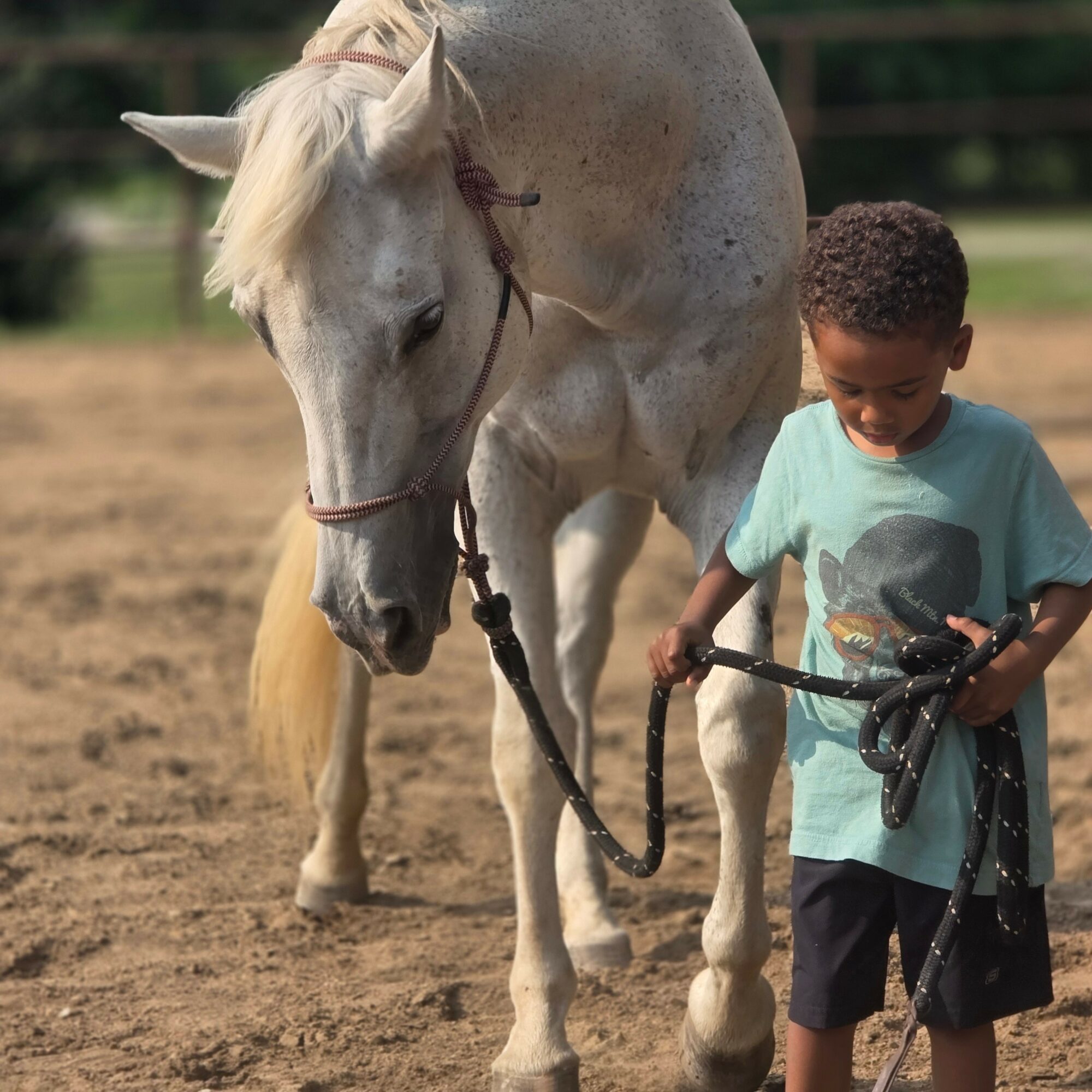Child holding a horse's lead rope outdoors, with the horse looking down, in a fenced area.
