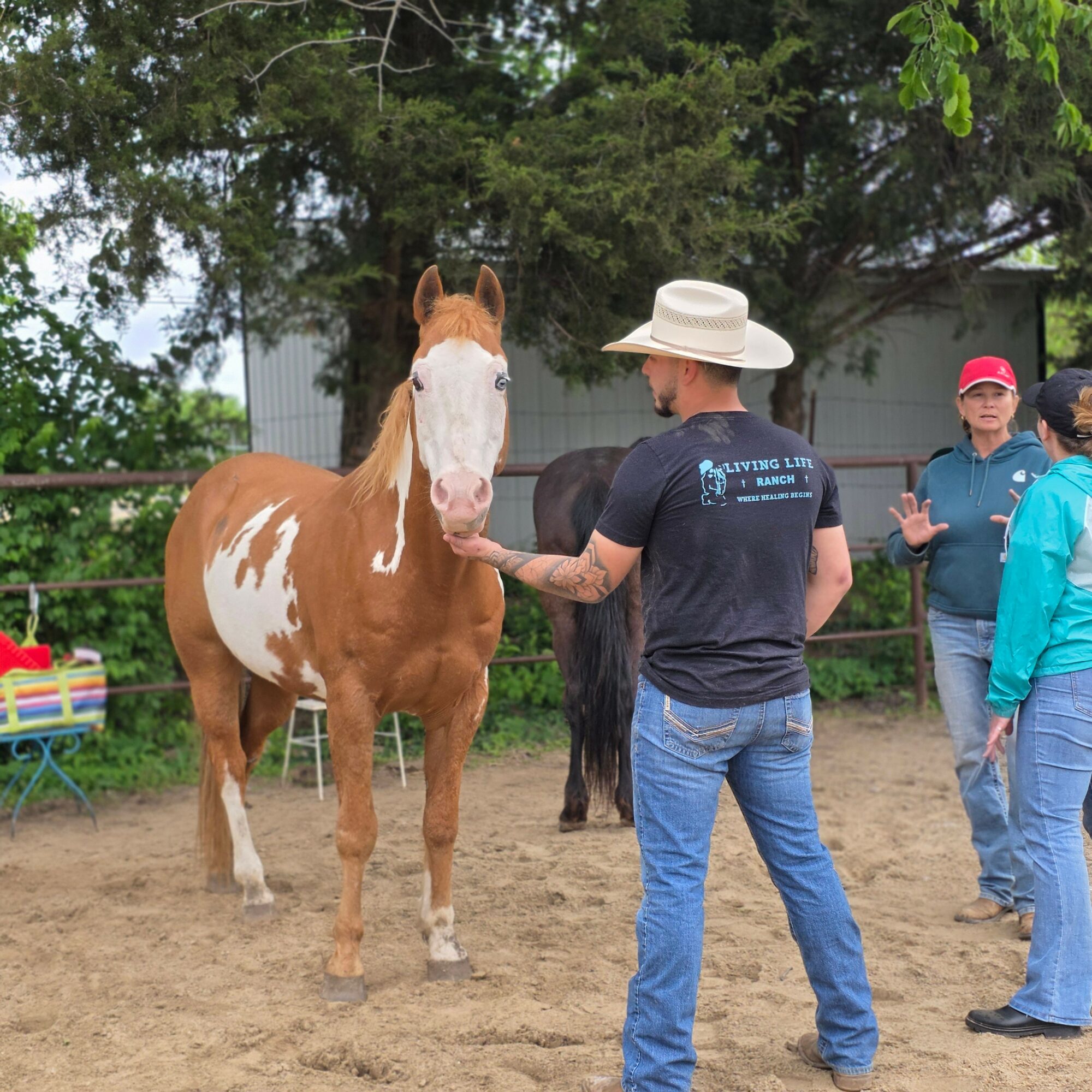 Person in a wide-brimmed hat and dark shirt interacts with a brown and white horse in a fenced outdoor area, with other people nearby.