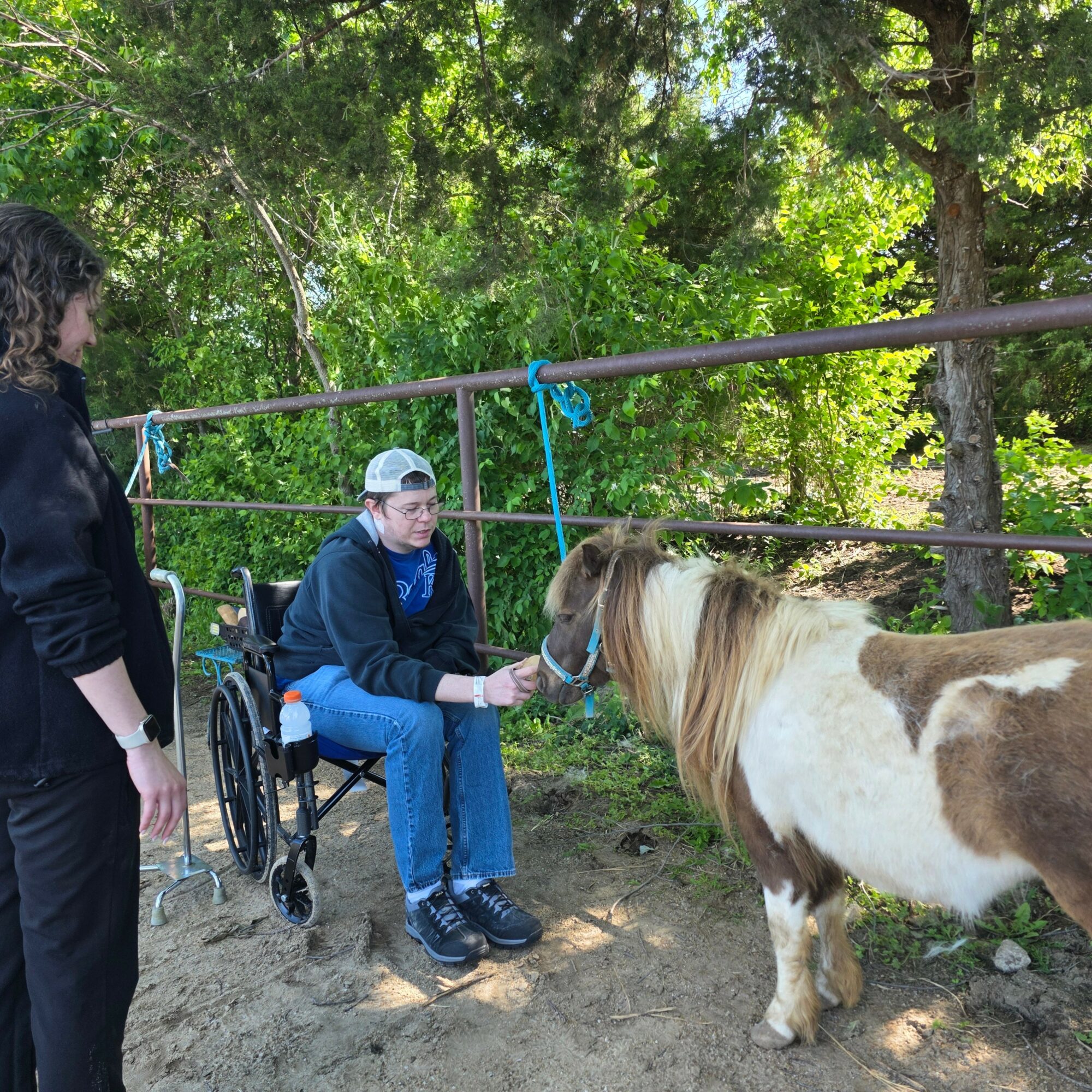 Person in wheelchair holding a small horse, with another person standing nearby, outdoors with trees and a fence.